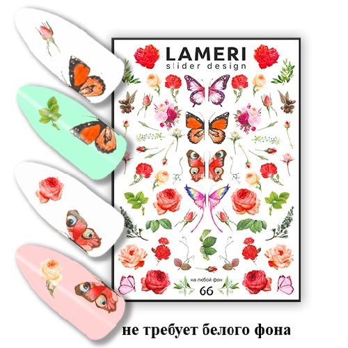 lameri-slider-design-66